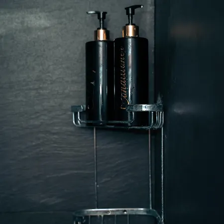 Zevenvrijedagen * Gent