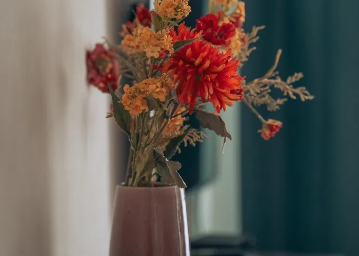 Zevenvrijedagen * Ghent